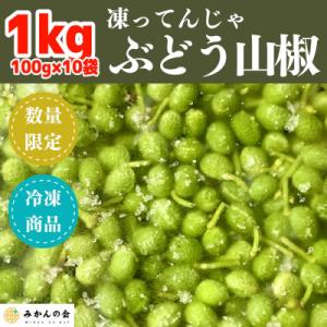 ふるさと納税 有田川町 冷凍山椒 凍ってんじゃ ぶどう山椒 1kg ( 100g × 10袋 ) 和歌山県産 産地直送｜y-sf