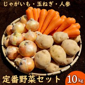 いつもの定番野菜セット 約10kg じゃがいも 玉ねぎ 人参 常備野菜の詰め合わせ