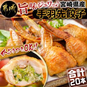 ふるさと納税 都城市 旨味ジュワッ!宮崎県産手羽先餃子20本セット