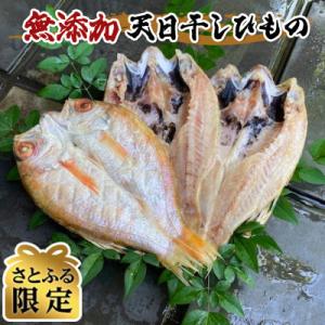 ふるさと納税 伊東市 のどぐろ(赤むつ)天日干しひもの(原魚200〜230g使用、3枚)【さとふる限...