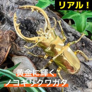 ふるさと納税 南アルプス市 純金(K24)製 ...の詳細画像1