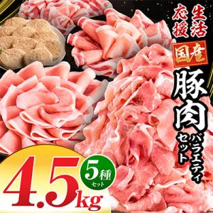 生活応援!!ロースいっぱい国産豚肉バラエティセット5種4.5kg(宮崎市)