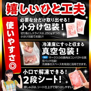 ふるさと納税 宮崎市 国産豚肉バラエティセット...の詳細画像1