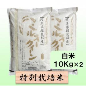【令和8年産】特別栽培米 20kg【白米】(ミルキークイーン)