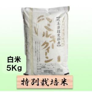 【令和7年産】特別栽培米 5kg【白米】(ミルキークイーン)