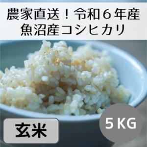 ふるさと納税 十日町市 【令和6年産・先行受付】新潟県魚沼産コシヒカリ「山清水米」玄米5kg