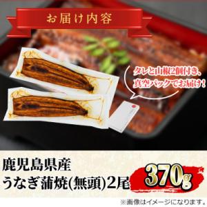 ふるさと納税 東串良町 東串良町のうなぎの蒲焼...の詳細画像1