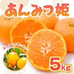 ふるさと納税 伊万里市 佐賀県産 あんみつ姫 約5kg (伊万里市)