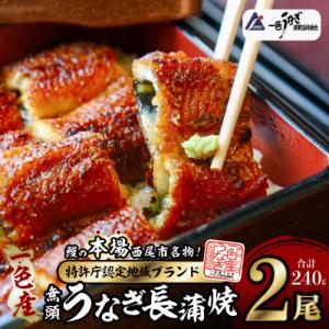 一色産うなぎ　無頭　長蒲焼2尾(240g)・I048-13-1