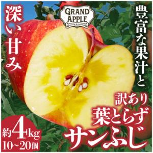 産地直送　葉とらずサンふじ　訳あり　約4kg