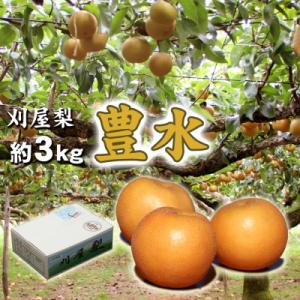酒田刈屋梨 ちょっとした酸味が癖になる豊水 約3kg(6～8玉入り)