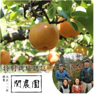 創業100年!関農園の特別栽培認証 南水 約5kg 秀品 長野県 南信州 SN07-23A