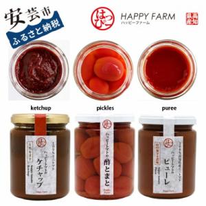 ふるさと納税 安芸市 ハッピートマトCセット