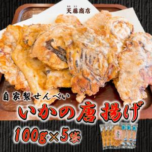訳あり いか せんべい 100g×5袋 ミネラル水 シママース使用  唐揚げ 天藤商店 自家製