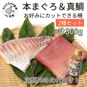 ふるさと納税 松浦市 海鮮丼のたれ付!長崎県産本まぐろ&amp;ハーブ仕立ての真鯛　柵セット2種300g