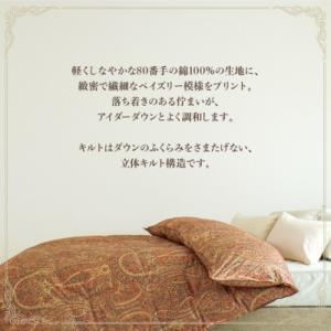 ふるさと納税 花巻市 アイダー 羽毛布団 掛け...の詳細画像1