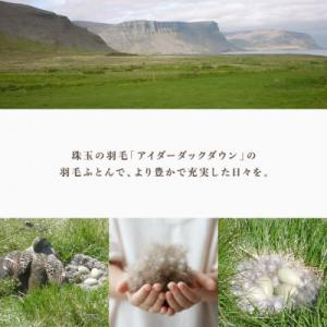 ふるさと納税 花巻市 アイダー 羽毛布団 掛け...の詳細画像3