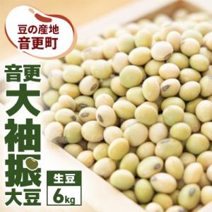 豆の産地 十勝おとふけ町 音更大袖振大豆6kg 令和7年産【A48】