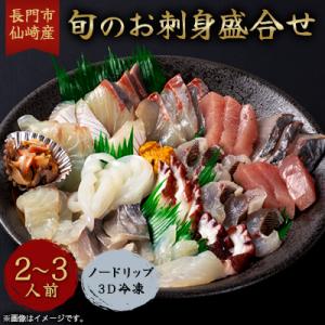 長門市 仙崎産　旬のお刺身盛合せ2-3人前　ノードリップ3D冷凍