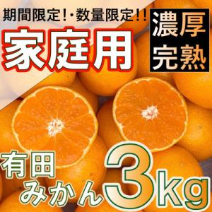 【先行受付】北真農園　有田みかん 家庭用 3kg　濃厚完熟　自宅用におすすめ