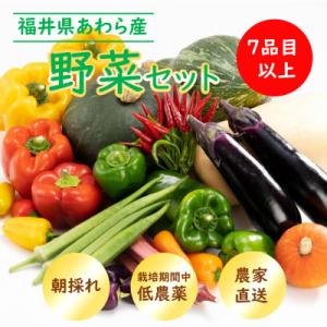 農家直送 旬の野菜セット 7品目以上 1箱