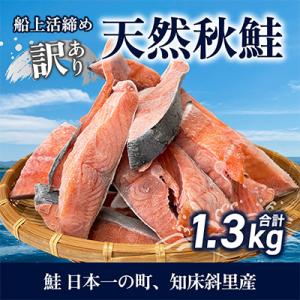 【訳あり】知床斜里産 天然秋鮭の切り身 約1.3kg 船上活締め