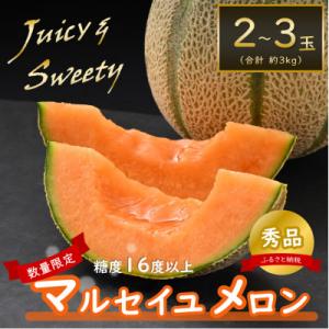 【先行予約】佐藤農園のマルセイユメロン 約3kg前後《秀品》(2～3玉入)　赤肉メロン