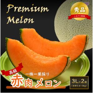 【先行受付】一株一果採り 高級赤肉メロン 3L 2玉入 約2.6～3kg《秀品》佐藤農園の赤肉メロン