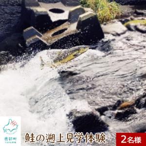 ふるさと納税 鹿部町 鮭の遡上見学体験 2名様分 道の駅しかべ間歇泉公園 入園券付 OK05