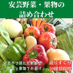 ふるさと納税 安芸市 安芸野菜・果物の詰め合わせ(10種類程度)｜y-sf