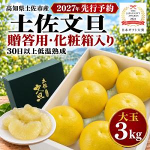 【2026年1月下旬～発送予定】【日本ギフト大賞2024受賞】園主こだわり土佐文旦贈答用 3kg