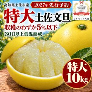 【日本ギフト大賞受賞・先行予約】園主こだわり土佐文旦特大10kg 家庭用 高知県土佐市産 やの一果彩