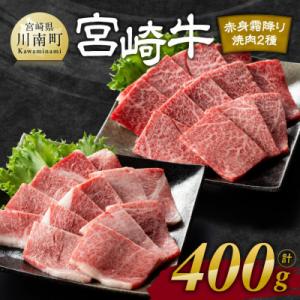 ふるさと納税 川南町 宮崎牛赤身霜降り焼肉2種400g