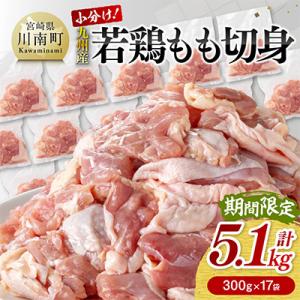 【期間限定】小分け!若鶏もも切身5.1kg(300g×17袋)