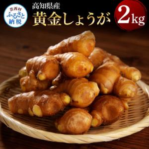 高知県産　黄金しょうが　2kg【SNS001】