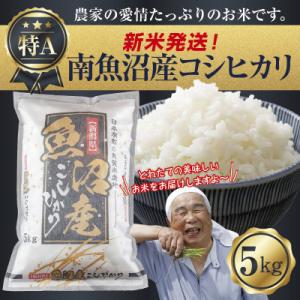 ふるさと納税 南魚沼市 【新米発送】 令和6年産 新潟県 南魚沼産 コシヒカリ 5kg (美味しいお...