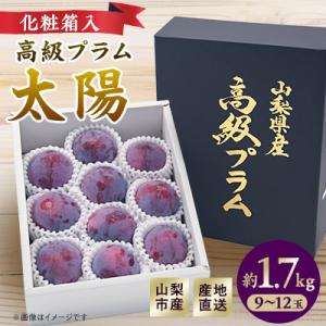 2026年発送 山梨市産プラム　太陽　約1.7kg(9～12玉)