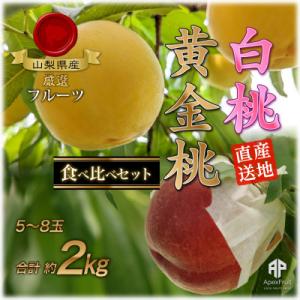 ふるさと納税 山梨市 【2026年先行予約】山梨市産　白桃と黄金桃の食べ比べセット　約2kg(5〜8玉)