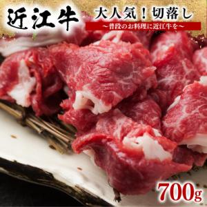 ふるさと納税 竜王町 近江牛切り落とし 計700g 350g×2P 小分け 滋賀県 竜王町 E012｜y-sf