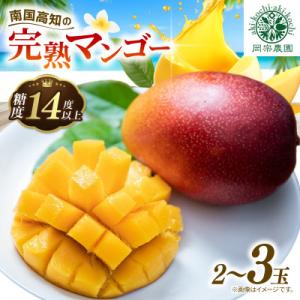 メリーガーデンの完熟マンゴー