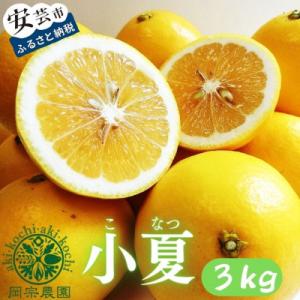 ふるさと納税 安芸市 メリーガーデンの小夏　3kg