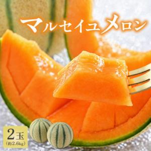 【先行予約】マルセイユメロン 2玉 約2.6kg以上(約1.3kg以上×2玉)大人気の赤肉品種!