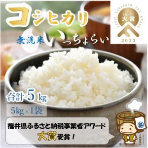 ふるさと納税 あわら市 【令和5年産】「いっちょらい」 福井県産 コシヒカリ 無洗米 5kg｜さとふる