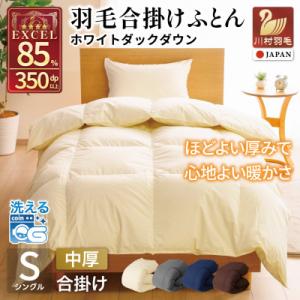 洗える 羽毛布団 合掛け シングル 春秋用 中厚 ホワイトダックダウン85% アイボリー 無地