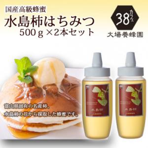 ふるさと納税 富山市 富山県産水島柿蜂蜜500g　2本セット