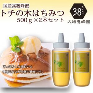 ふるさと納税 富山市 富山県産トチの木蜂蜜500g　2本セット