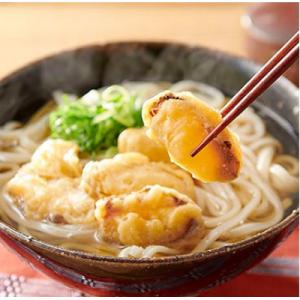 ふるさと納税 福岡市 博多ごぼう天うどん　10食セット｜y-sf