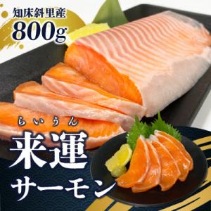 新ブランド「来運サーモン(約800g)」知床斜里産の天然サーモン。船上活締めで鮮度抜群!