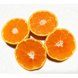 【先行受付】【ご家庭用】和歌山有田みかん約5kg(2L、3Lサイズいずれか)【湯浅町】