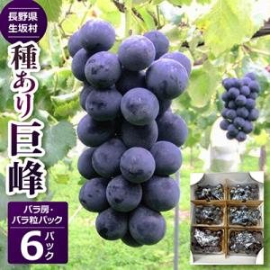 種あり巨峰　バラ房・バラ粒パック(420g×6パック)【2026年度出荷分】